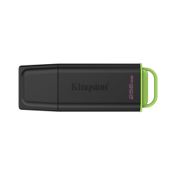 Kingston Technology DataTraveler 256GB Portátil USB 3.2 Gen 1 Exodia Negro + Verde - DTXG2/256GB-2