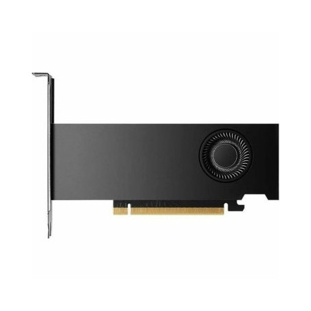 VGA NVIDIA QUADRO RTX 2000 ADA 16 GB GDDR6 2 BRACKETS LP  BULK  4x Mini DisplayPort - 900-5G192-2240-000