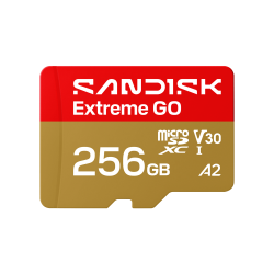 SanDisk Extreme GO 256 GB MicroSDXC UHS-I - SDSQXGN-256G-GN6MN