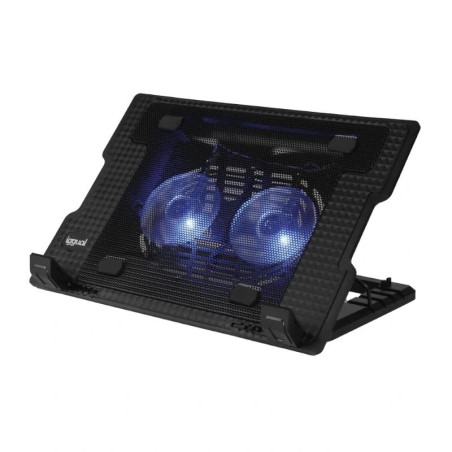 iggual Refrigerador portátil 2 ventiladors RP2V17A - AAOARE0149