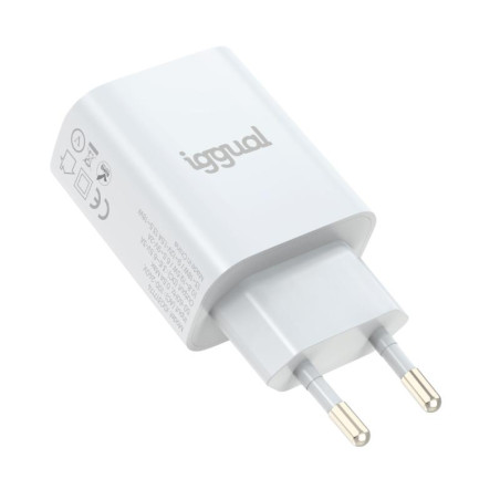 iggual Cargador 1xUSB-A carga rápida QC3.0 18W - AATCAT0306
