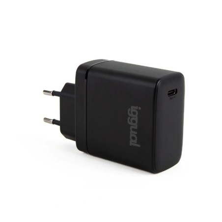 iggual Cargador rápido USB PD tipo C 45W GaN - AATCAT0342