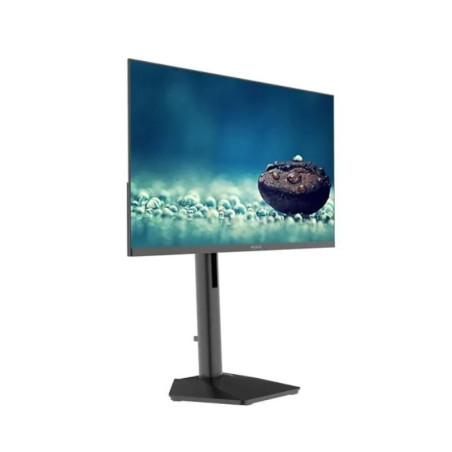 Approx APPM24SBV4 Monitor24"120H VGA HDMI DP MM AA - FMOMLE1075