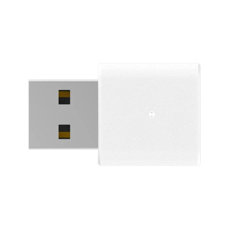 D-Link AN3U Adaptador WiFi USB N300 - NADAIN0310