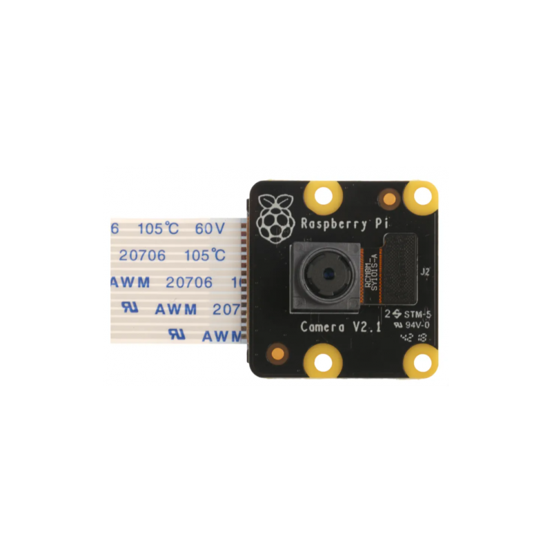 Raspberry Pi PiNoir Camera Module V2.1 Cámara Multicolor - 913-2673