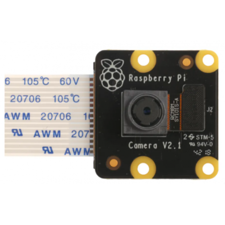 Raspberry Pi PiNoir Camera Module V2.1 Cámara Multicolor - 913-2673