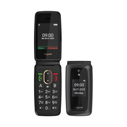 Gigaset GL795 - 4255781906409